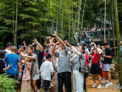 国庆期间长沙岳麓山成顶流，凭何保持高效运转与优质服务？