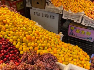 新疆旅游攻略：最佳季节与路线，10日纯玩团报价深度探索