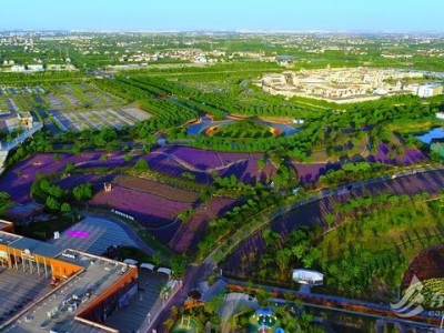 上海国际旅游度假区开放十年，从乐园到旅游城的华丽蜕变