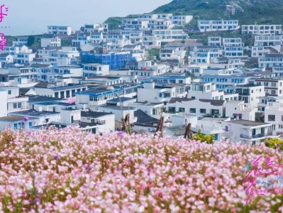春末夏初花鸟岛迎特别520，四天浪漫企划活动精彩开启