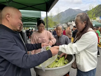 绵阳野菜节：上山挖野菜，体验开盲盒乐趣