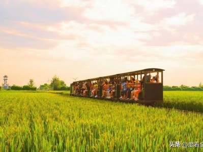 从一次性消费到真诚出圈：文旅行业如何实现口碑与客流双赢？