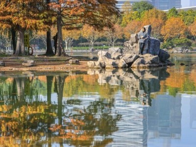 浦东深秋去哪玩？银杏红杉打卡地、迪士尼旁秘境推荐