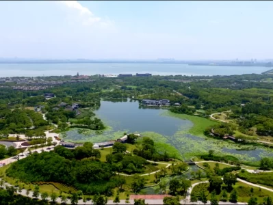 苏州莲池湖：阳澄湖畔的夏日避暑仙境