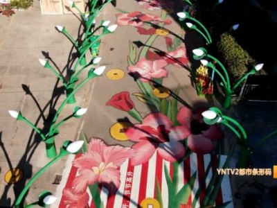 昆明斗南花花世界新打卡地花花市街，快来感受浪漫与变迁