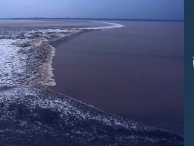 杭州飞来峰红枫上线了！灵隐永福三寺秋色，免费预约攻略在这