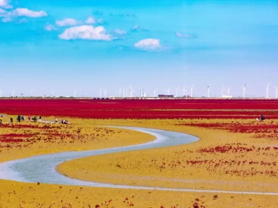 东营文旅精心打磨5条黄河记忆乡愁主题旅游线路，快来体验