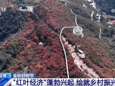 金秋时节山东旅游好去处，淄博红叶与聊城东阿非遗等你来赏