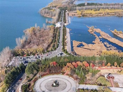 西安出发3小时一日游攻略！看天鹅游古城咥美食，0门票玩转陕豫两地