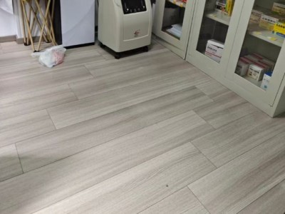 张家界景区猴子伤人频发，游客游玩需谨慎