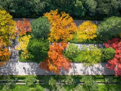 秋日神州大地色彩斑斓如画，多地秋景引游客，旅途中的主角，他们的故事你了解多少？驻足欣赏