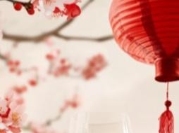 2026 上海公园集福攻略，逛玩赏梅观花，开启新春欢乐之旅