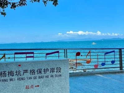 深圳海边二选一：杨梅坑vs较场尾，带娃拍照省心游攻略全解析