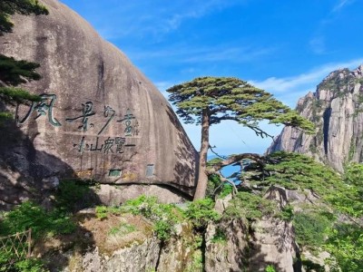 暑假带家人游黄山纠结跟团or自由行？3天游玩攻略来啦