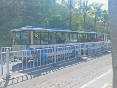 旅游乱象：景区摆渡车等问题频出，游客体验差，根源在哪？