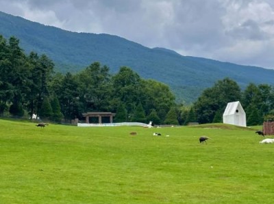 西双版纳4天3晚纯玩团预算多少？人均1300元左右