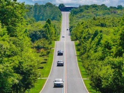 2025中国县域旅游百强县市名单发布，江苏9地上榜，溧阳成热门