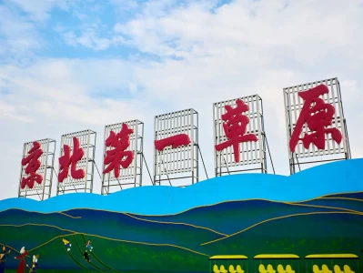 三伏天将至，打卡京北第一草原，享清凉野趣