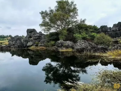 遇见石林水上奇观：仙女湖静谧美，喀斯特与水相映成趣