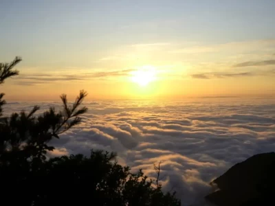 甘陕川交界的徒步天堂！康县青龙山藏着怎样的生态密码？