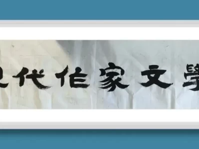西藏纪行：心动的回响，经行德令哈感受生命的顽强与无奈