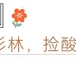 成都1小时车程！带娃徒步斜阳村9公里环线，红杉林景美人少