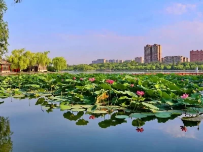 2026 年端午历下文旅体商融合，景区活动精彩纷呈