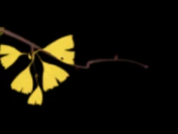 国际旅行商无锡踩线，体验江南文化，共谋入境旅游新合作