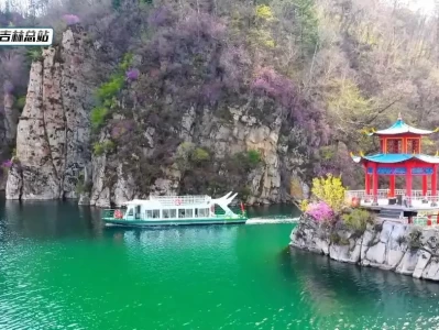 五一吉林龙湾野生杜鹃花海，赏花+演艺新玩法