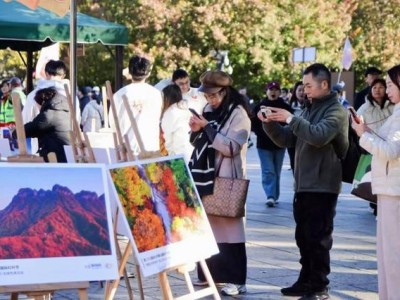 秋意正浓时，2025年光雾山国际红叶节北京站活动开启