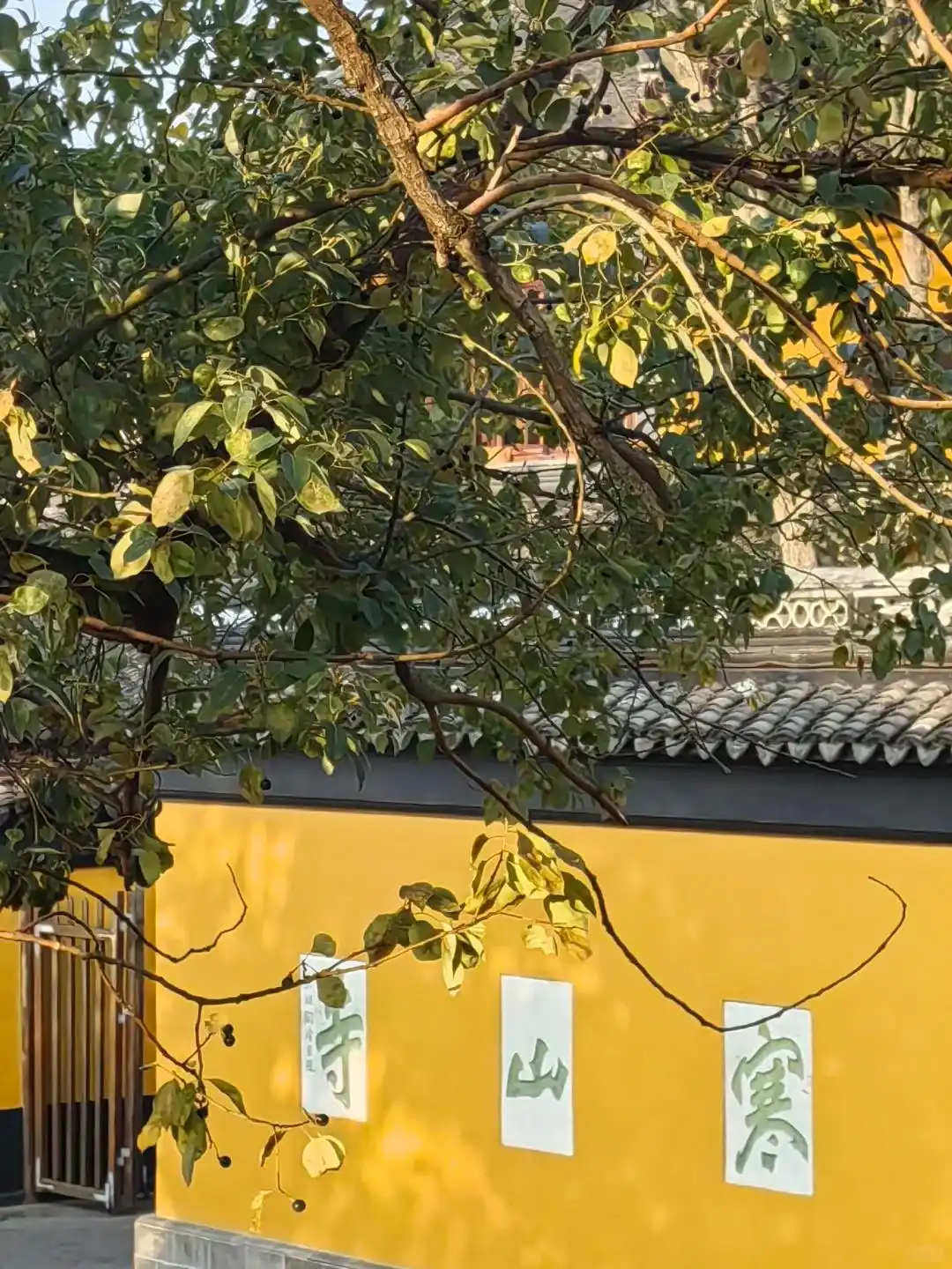 上海苏州杭州乌镇旅游攻略