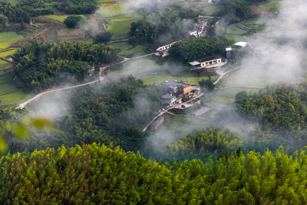 宜宾市蜀南竹海旅游发展有限公司