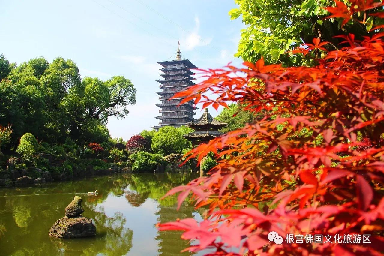 衢州柯城旅游景点大全