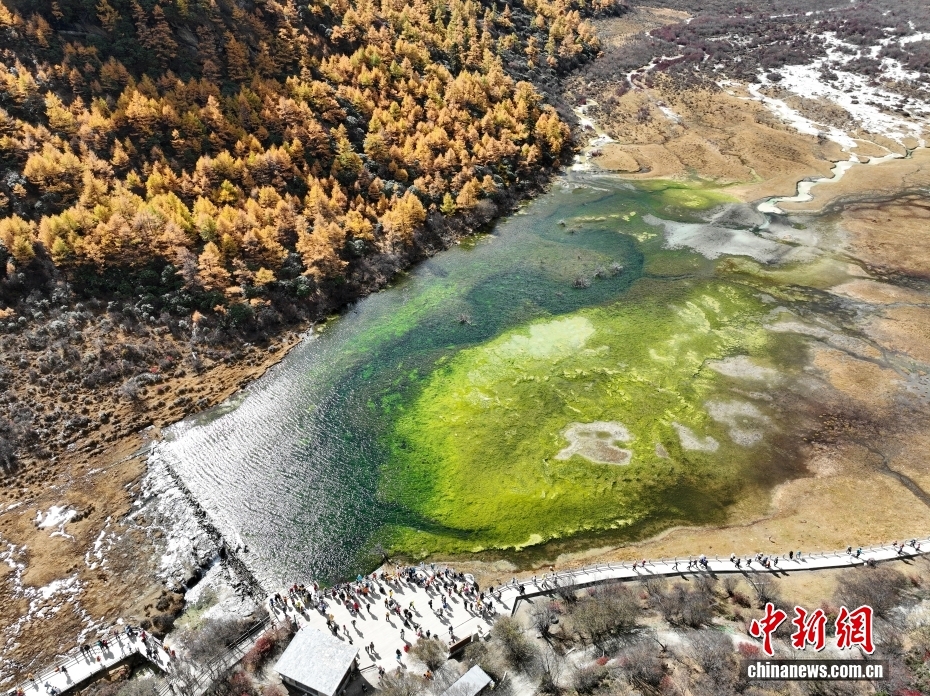 稻城亚丁旅游价格