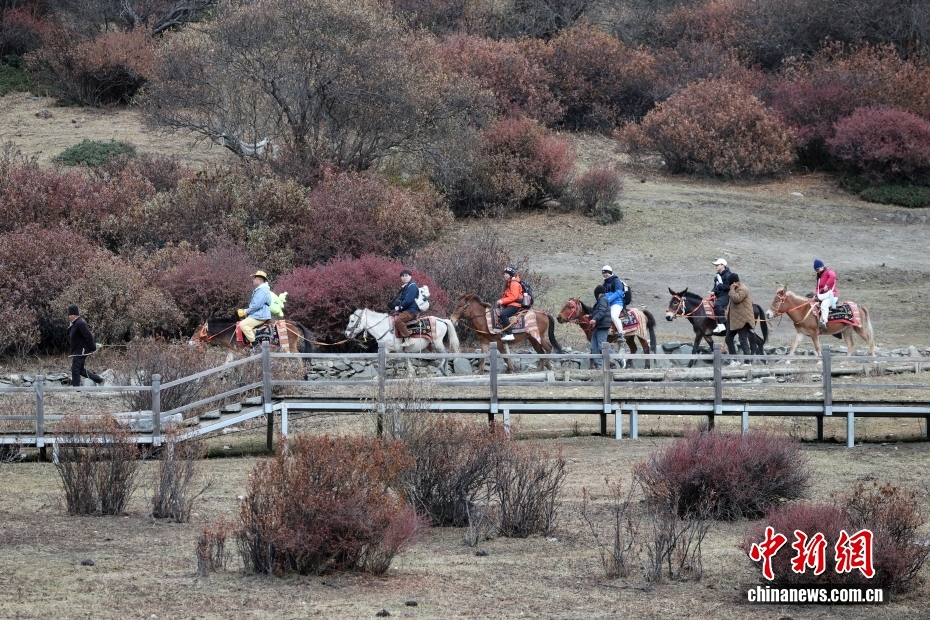 稻城亚丁旅游价格