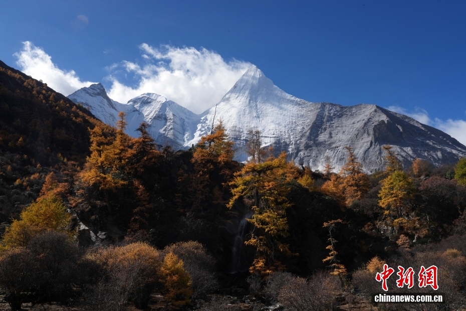 稻城亚丁旅游价格