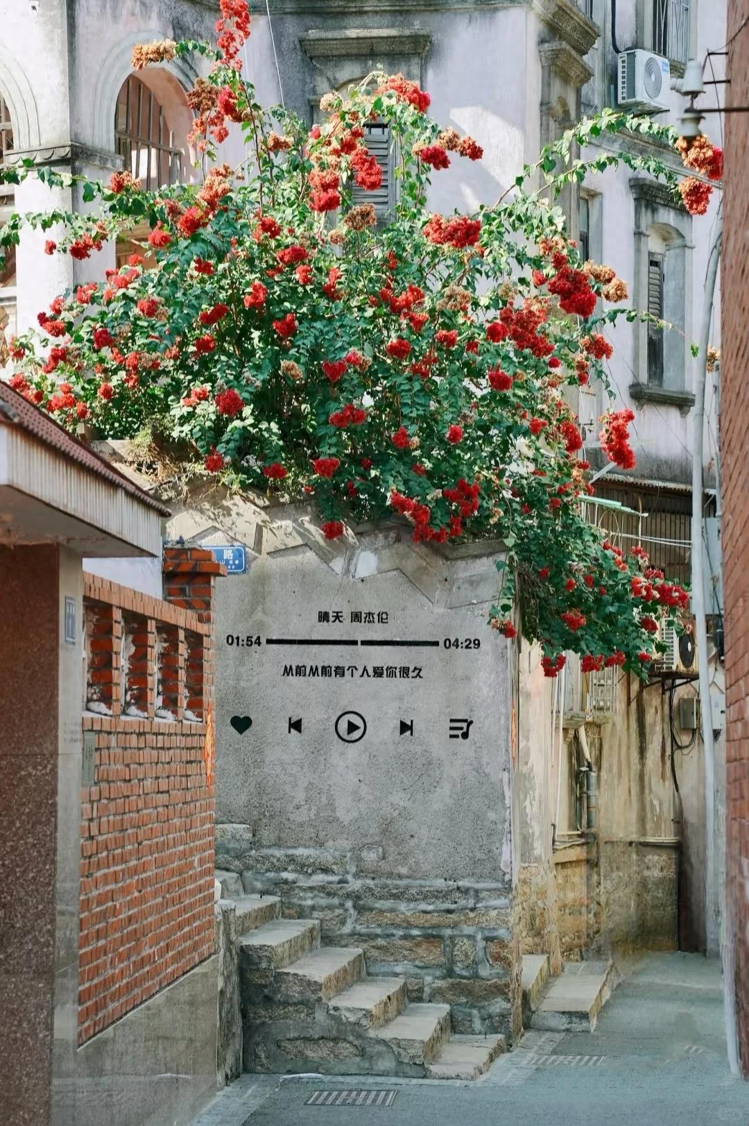 厦门旅游路线安排