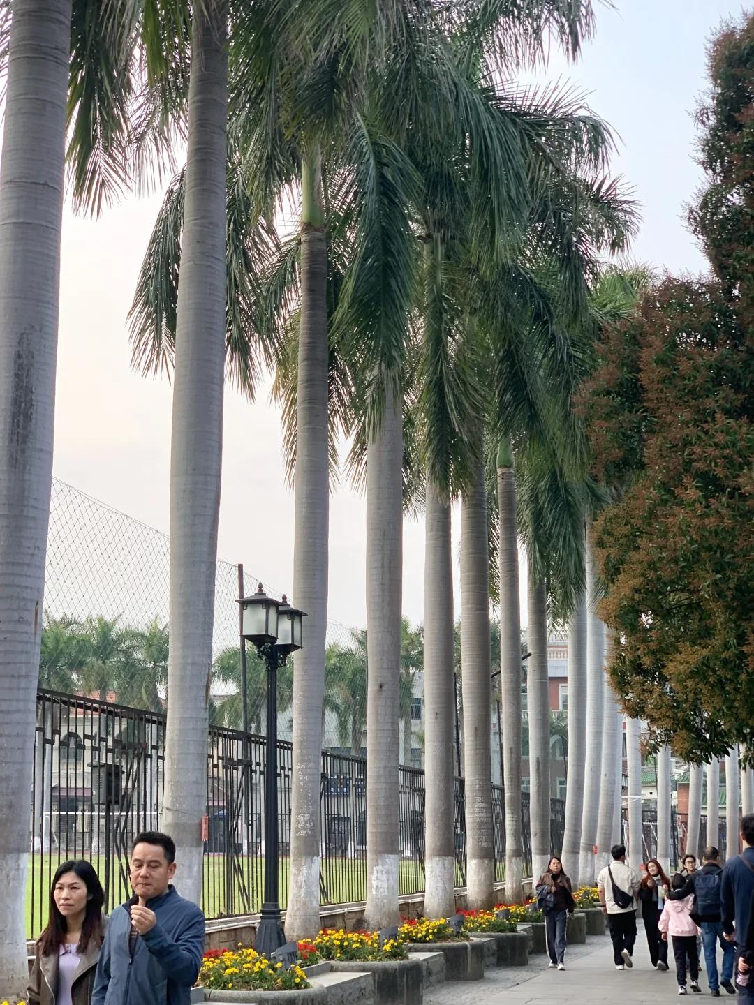 厦门旅游路线安排