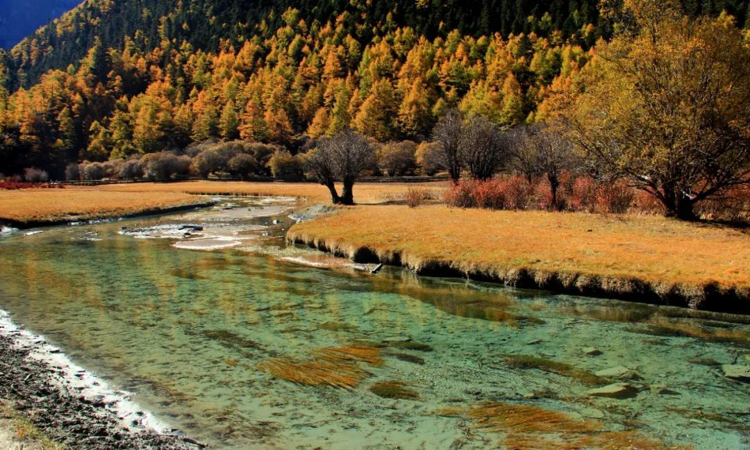 稻城亚丁旅游价格