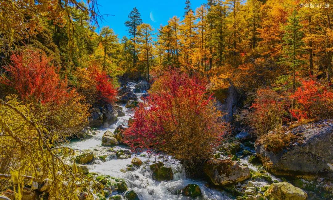 稻城亚丁旅游价格