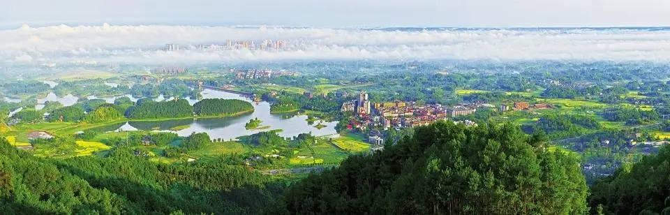 9ed3dcca49ad4af5b5a1ccc315519b74.png 9ed3dcca49ad4af5b5a1ccc315519b74.png