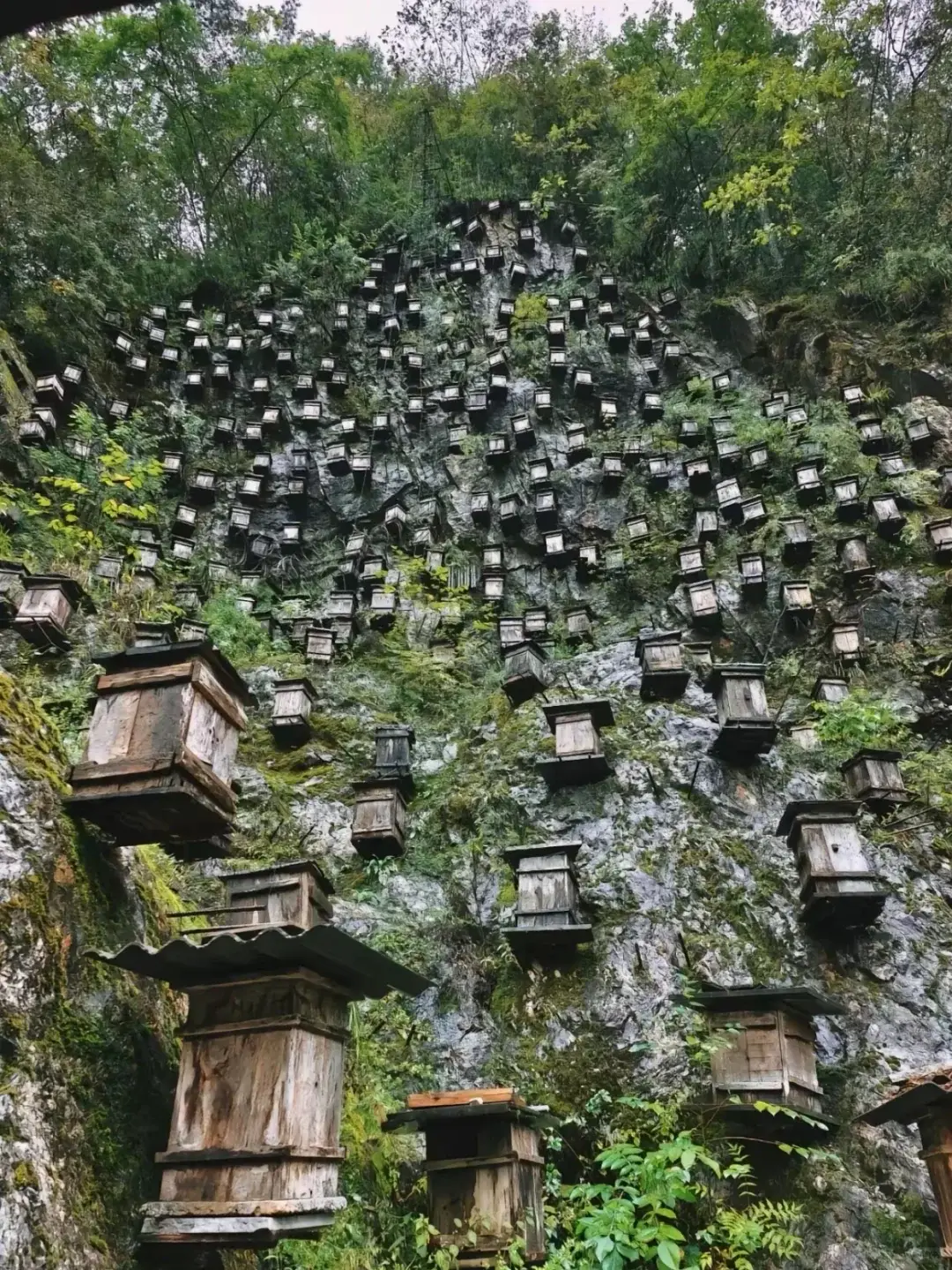 神农架旅游价格