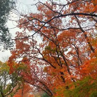 崂山南线旅游攻略