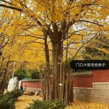 崂山南线旅游攻略