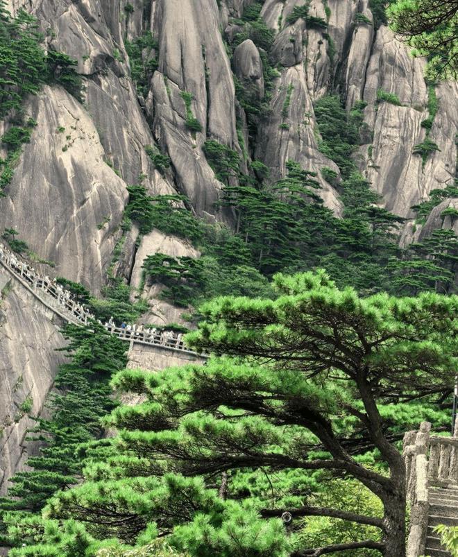 黄山自由行旅游攻略