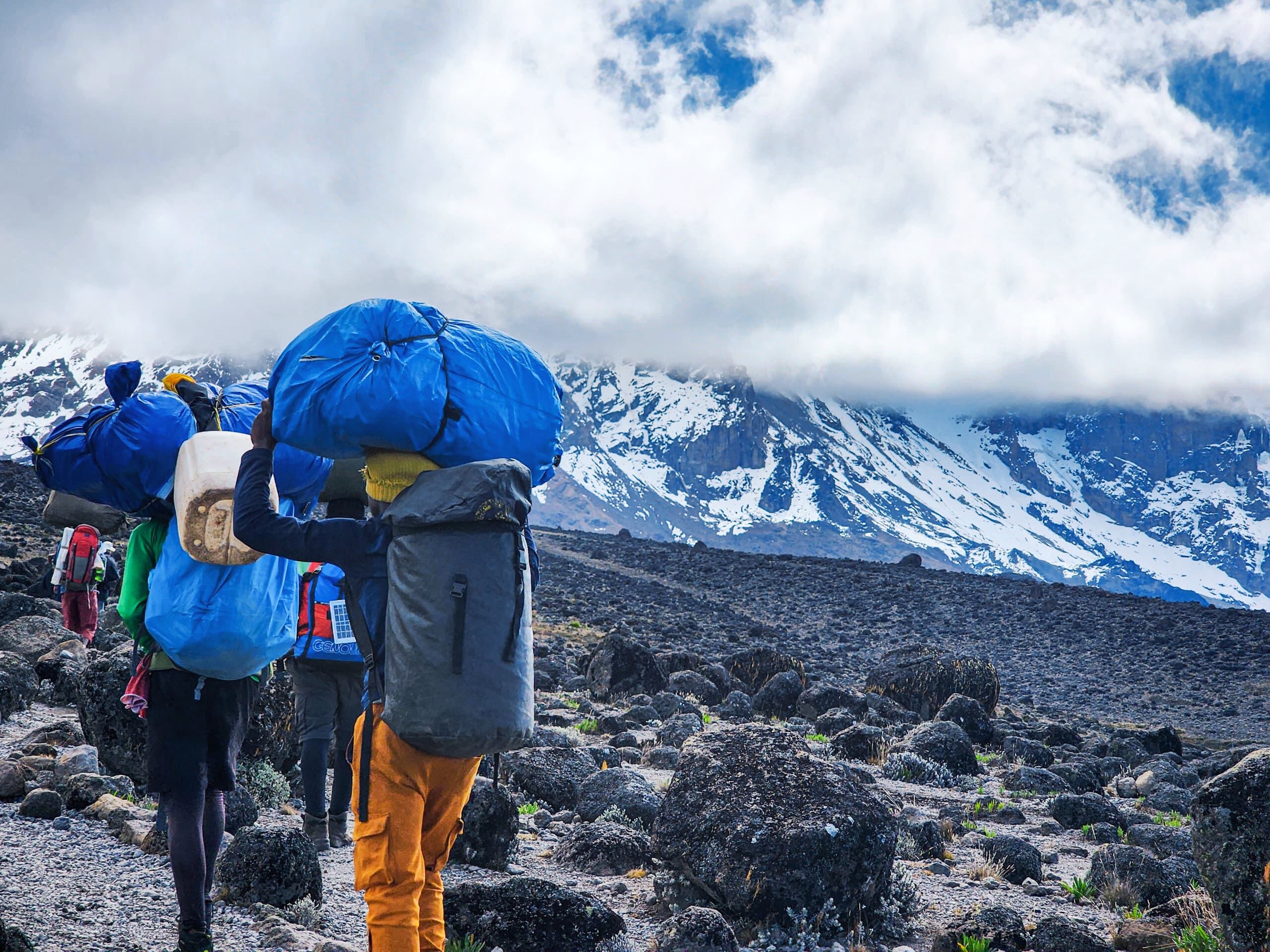 乞力马扎罗山 旅游