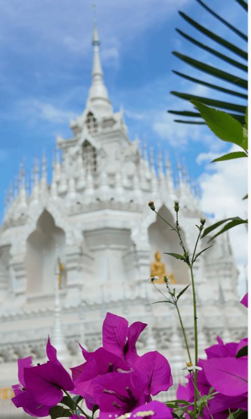 西双版纳旅行多少钱