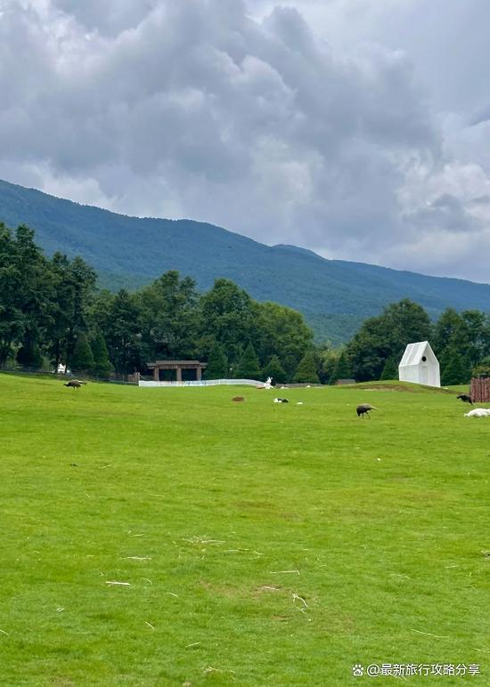 西双版纳旅行多少钱