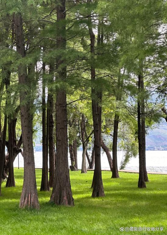 西双版纳旅行多少钱