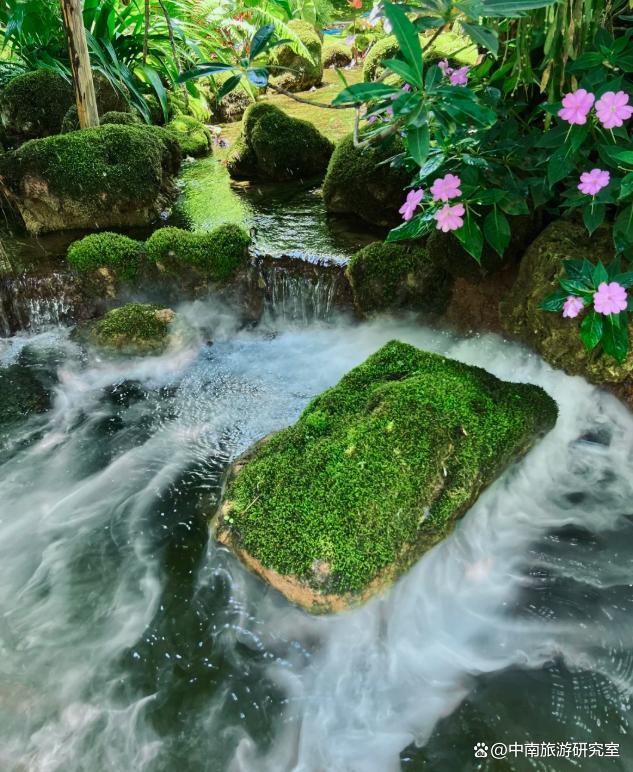 西双版纳旅行多少钱